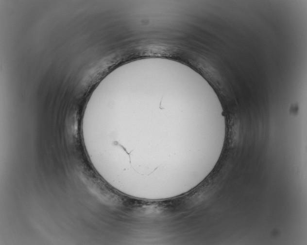 X0000116330310200912221425