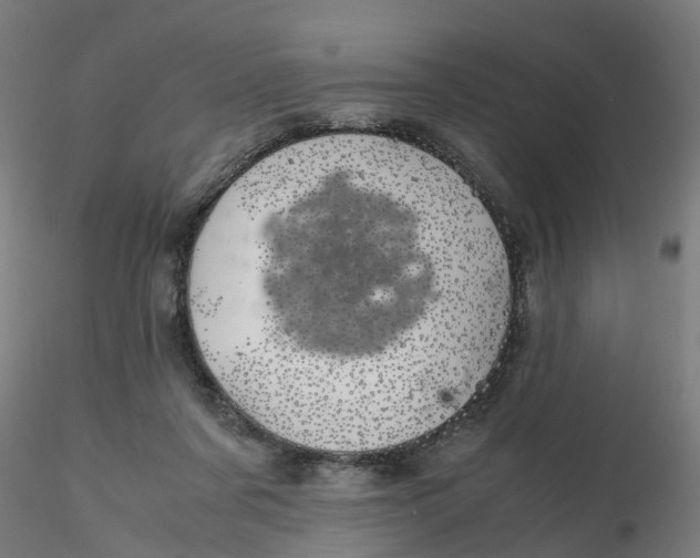 X0000116330311200912221425