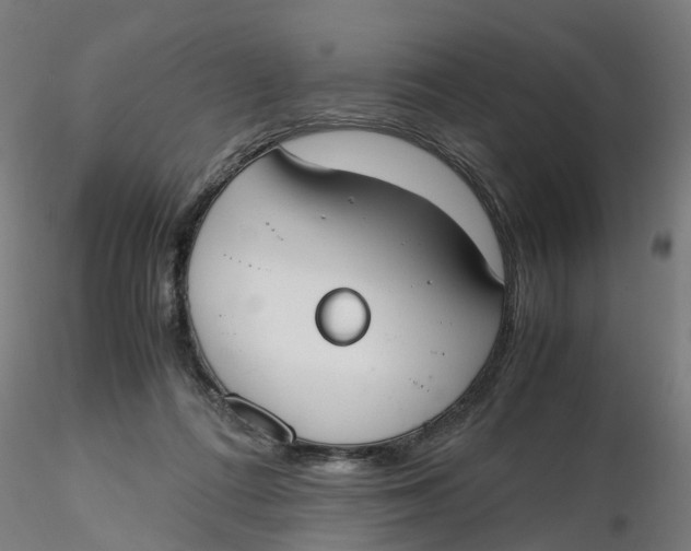 X0000116330312200912221425