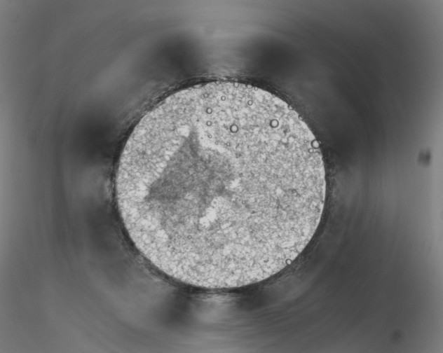 X0000116330313200912221425