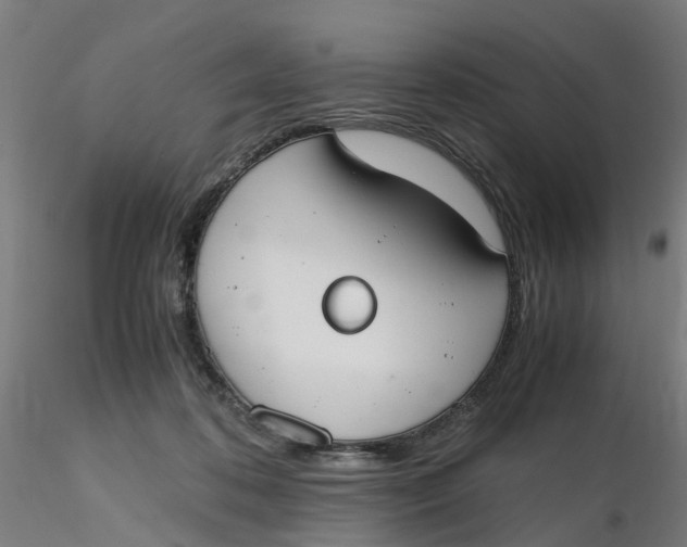 X0000116330316200912221425