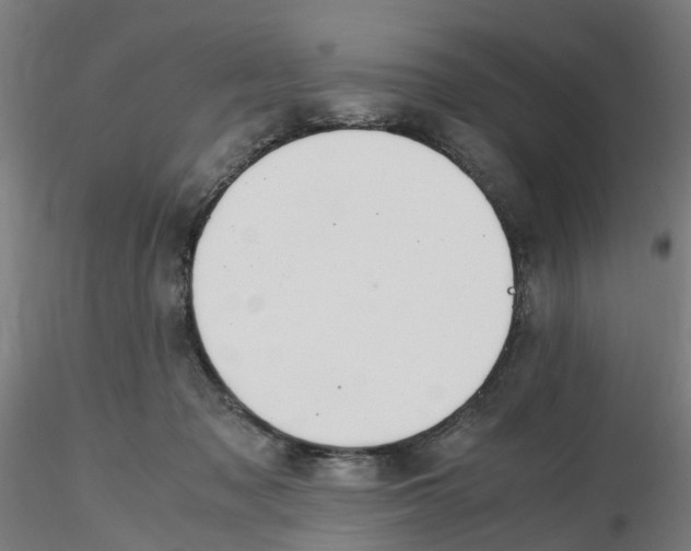 X0000116330317200912221425