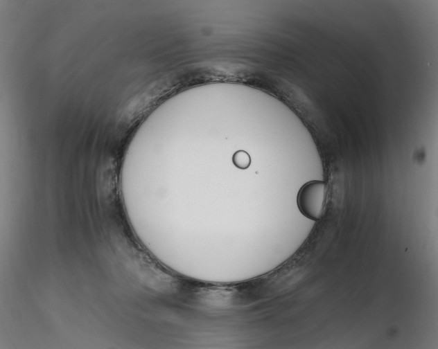 X0000116330318200912221425