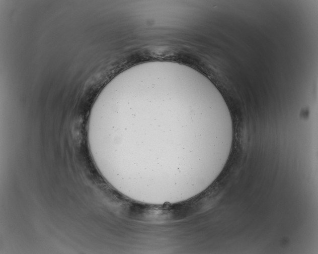 X0000116330319200912221425