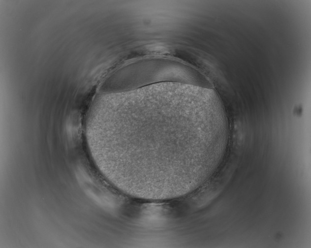 X0000116330320200912221425