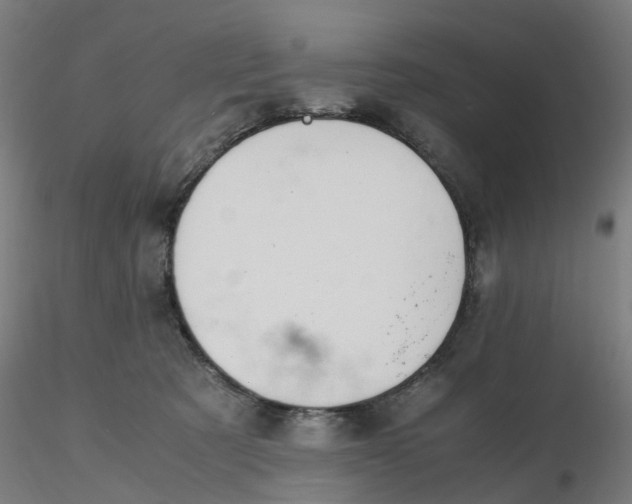 X0000116330321200912221425