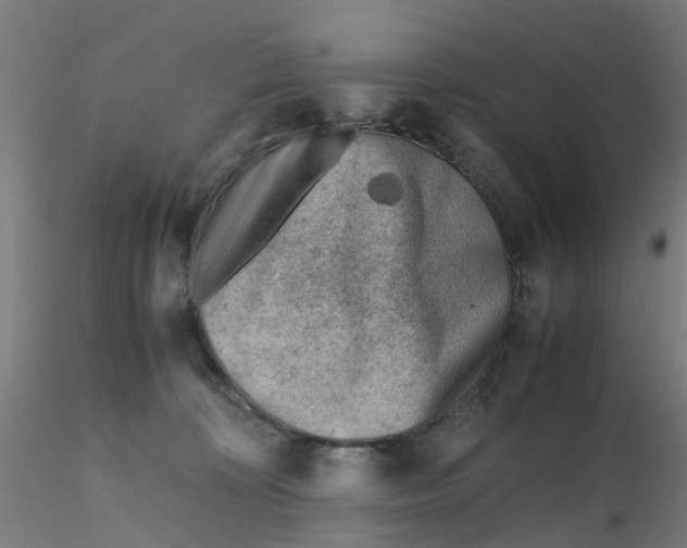 X0000116330324200912221425