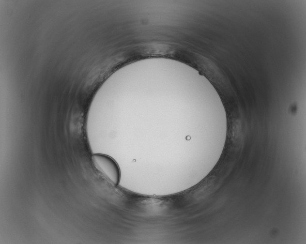 X0000116330326200912221425