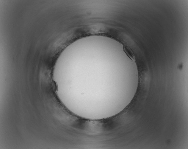 X0000116330327200912221425