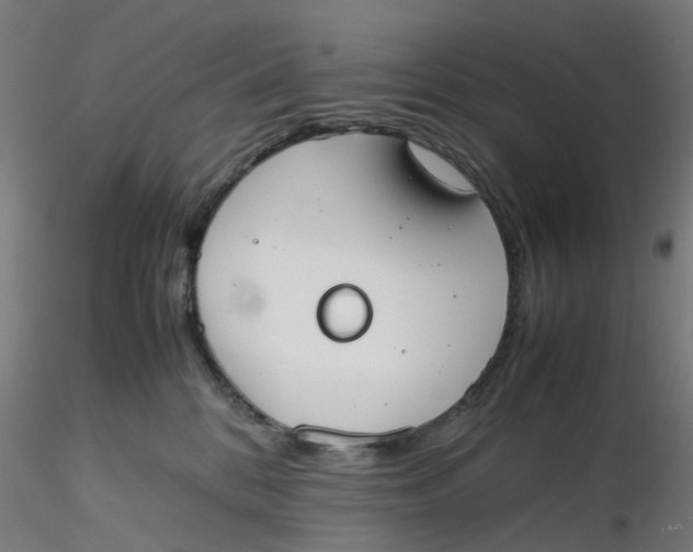 X0000116330328200912221425