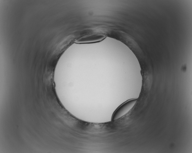 X0000116330329200912221425