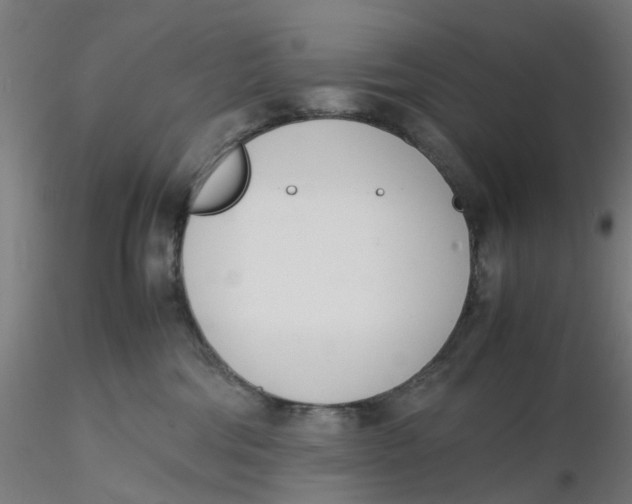 X0000116330330200912221425