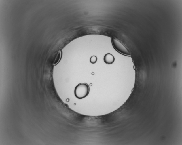 X0000116330331200912221425