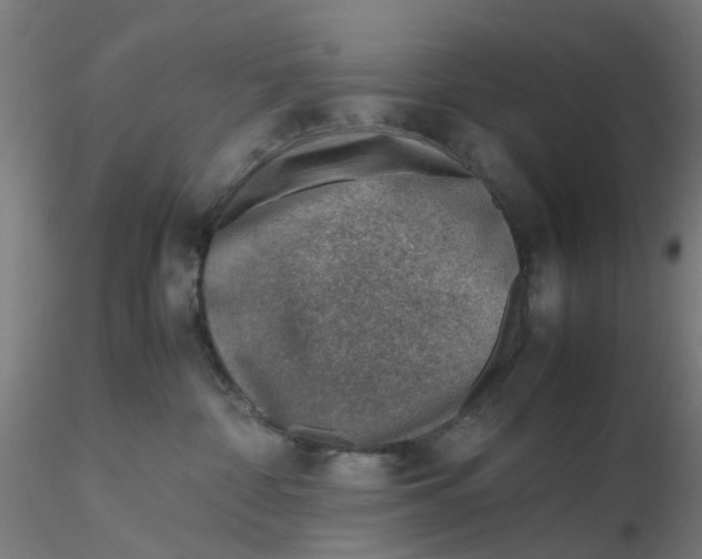 X0000116330332200912221425