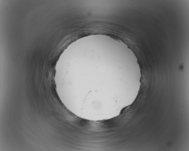 X0000116330333200912221425