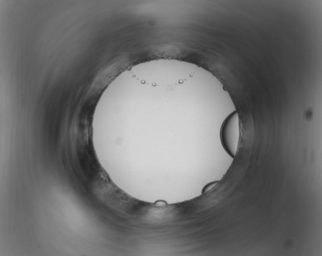 X0000116330334200912221425