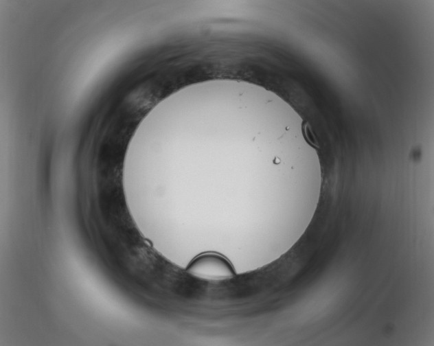 X0000116330335200912221425