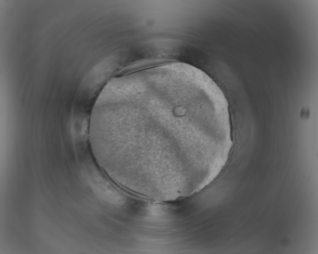 X0000116330336200912221425