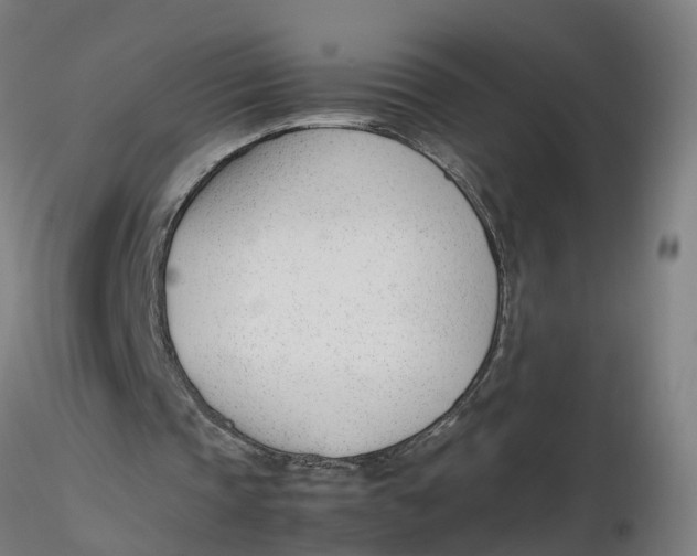 X0000116330337200912221424