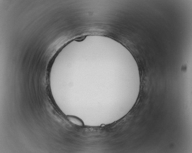 X0000116330338200912221424