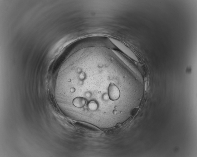 X0000116330339200912221424