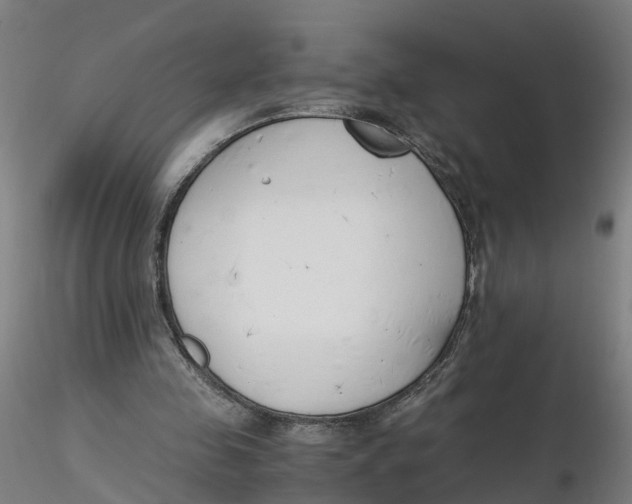 X0000116330341200912221424