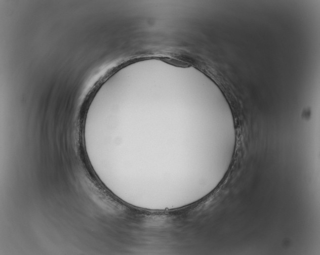 X0000116330342200912221424