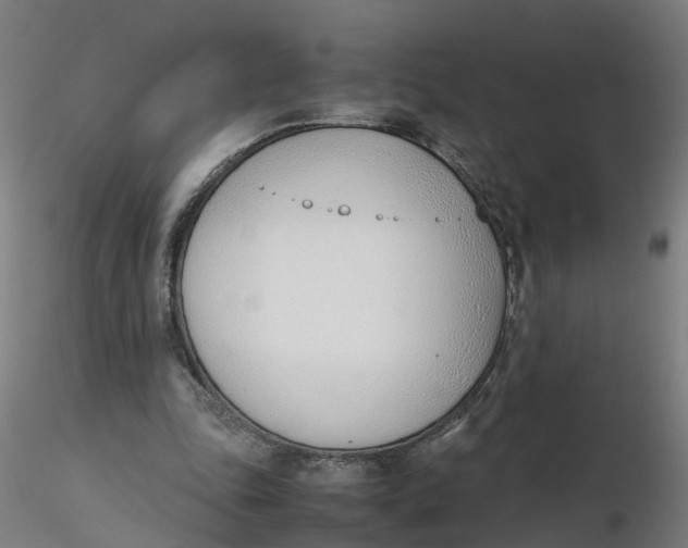 X0000116330343200912221424