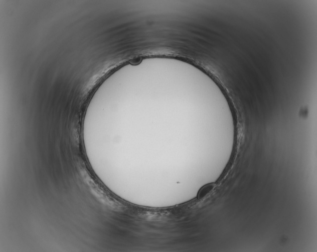 X0000116330345200912221424