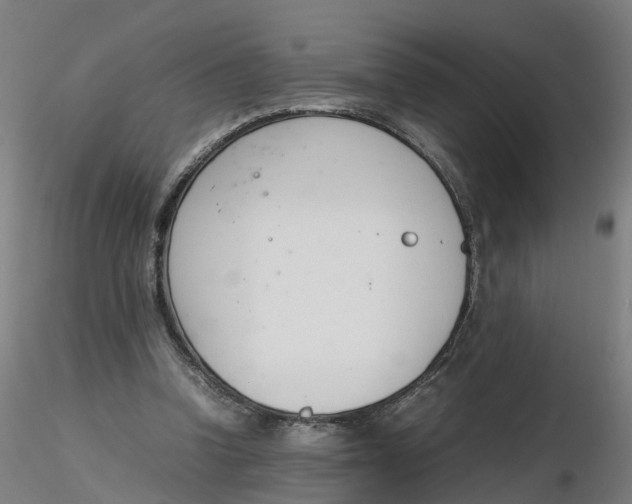 X0000116330346200912221424