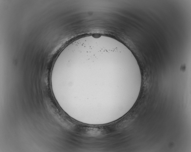 X0000116330347200912221424