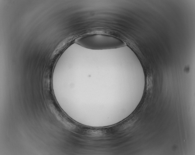 X0000116330349200912221424