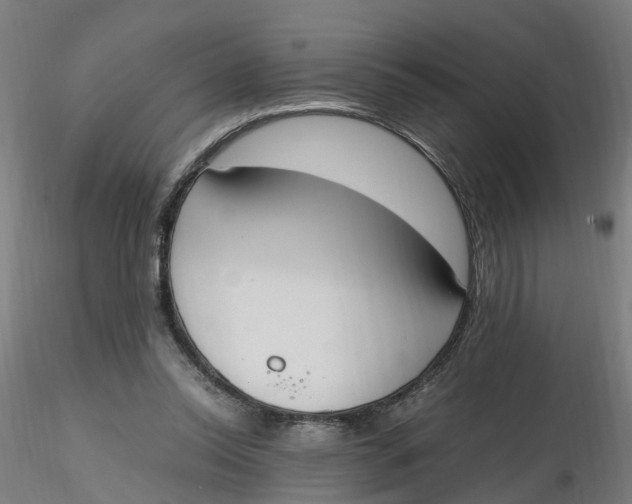 X0000116330350200912221424