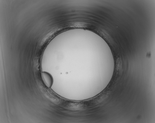 X0000116330351200912221424