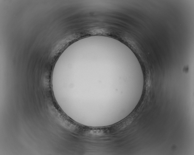 X0000116330353200912221425