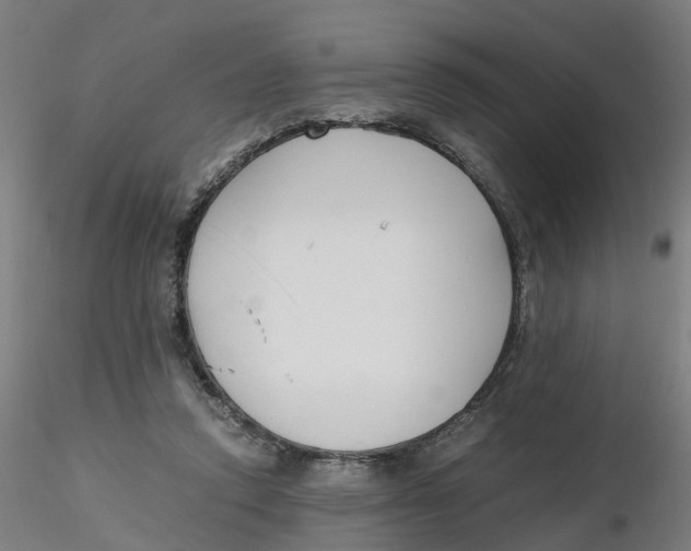 X0000116330354200912221425