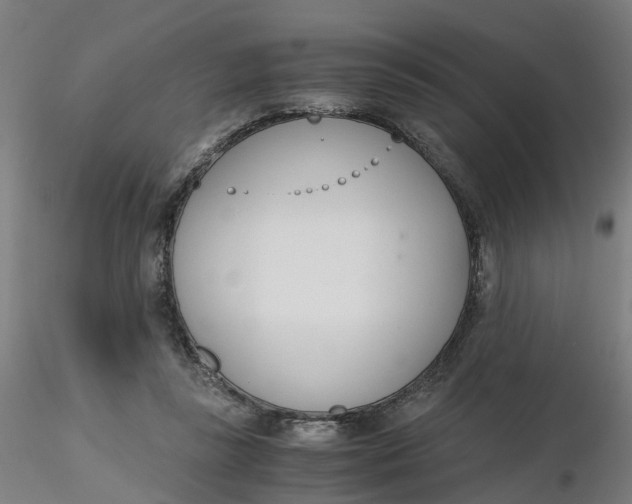 X0000116330355200912221425