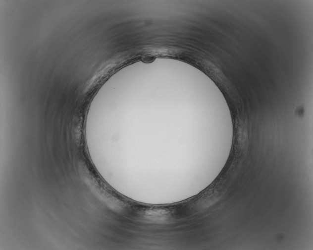 X0000116330357200912221425