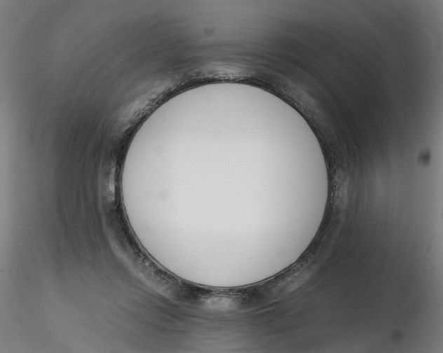 X0000116330358200912221425