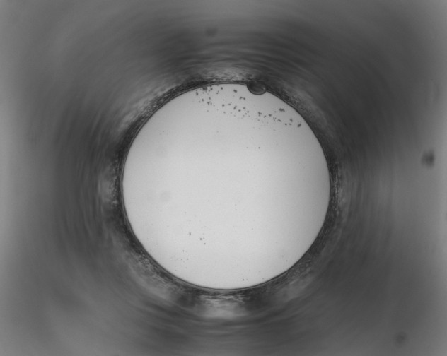 X0000116330359200912221425