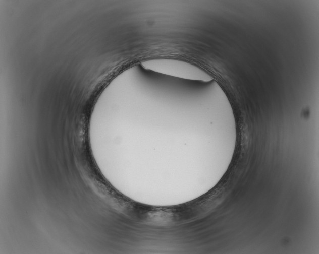 X0000116330362200912221425