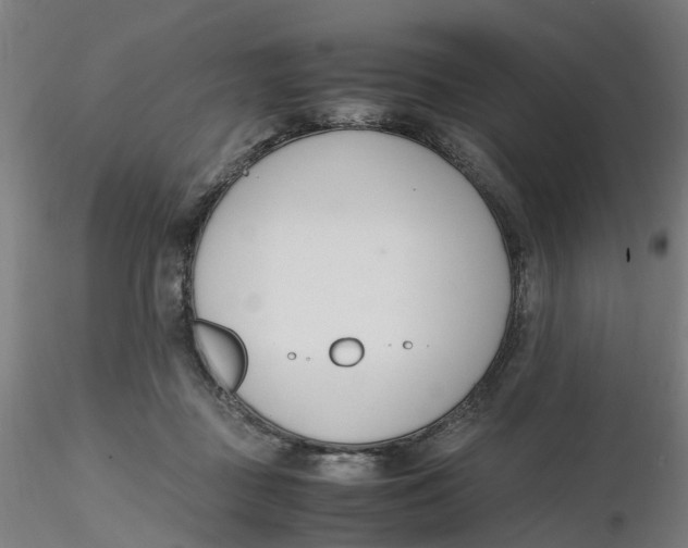 X0000116330363200912221425