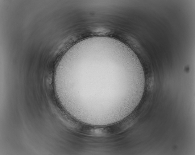 X0000116330365200912221425