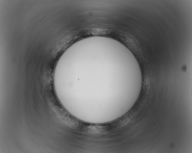 X0000116330367200912221425