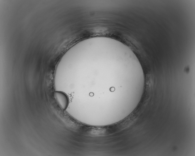 X0000116330369200912221425