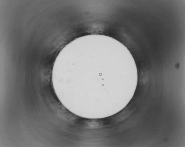 X0000116330370200912221425