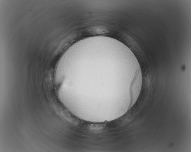 X0000116330373200912221425