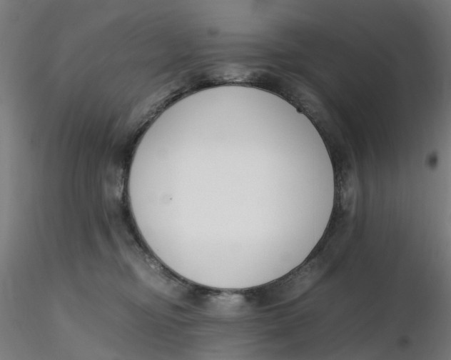 X0000116330374200912221425