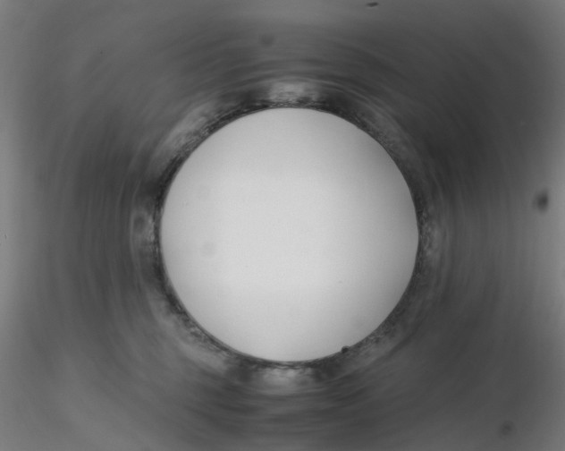 X0000116330375200912221425