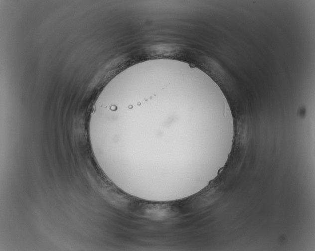 X0000116330377200912221425